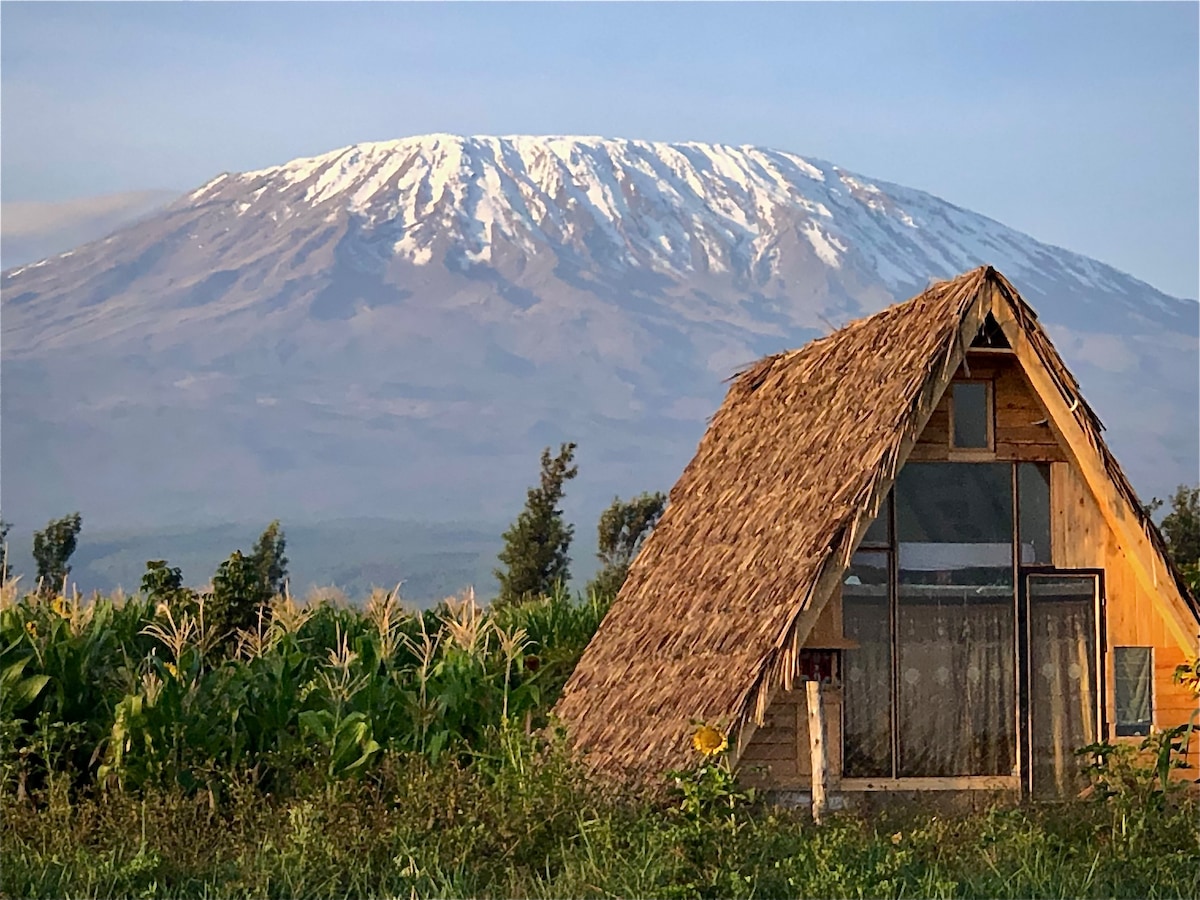 Amboseli Trails A-frame Kilimanjaro experience photo 1