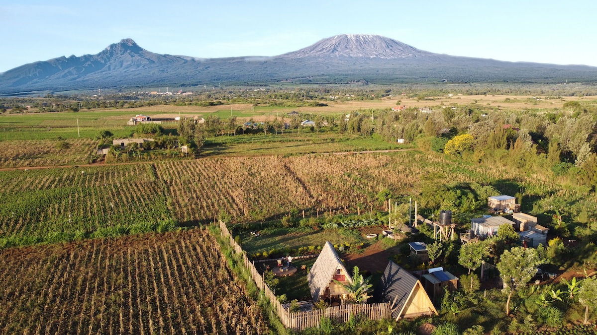 Amboseli Trails A-frame Kilimanjaro experience photo 2