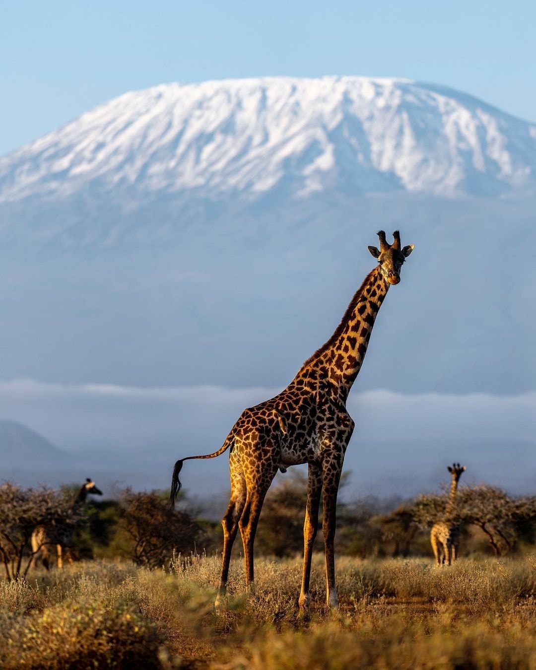 Amboseli House Cabin – 1BR, a Pool — photo 14