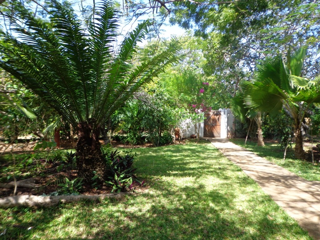 Archer 3BR Malindi — photo 14
