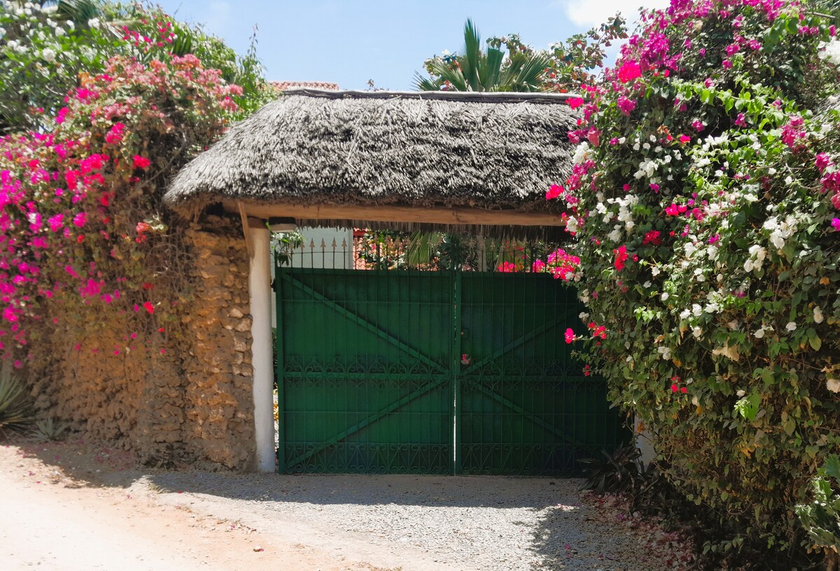 Banana House — photo 14