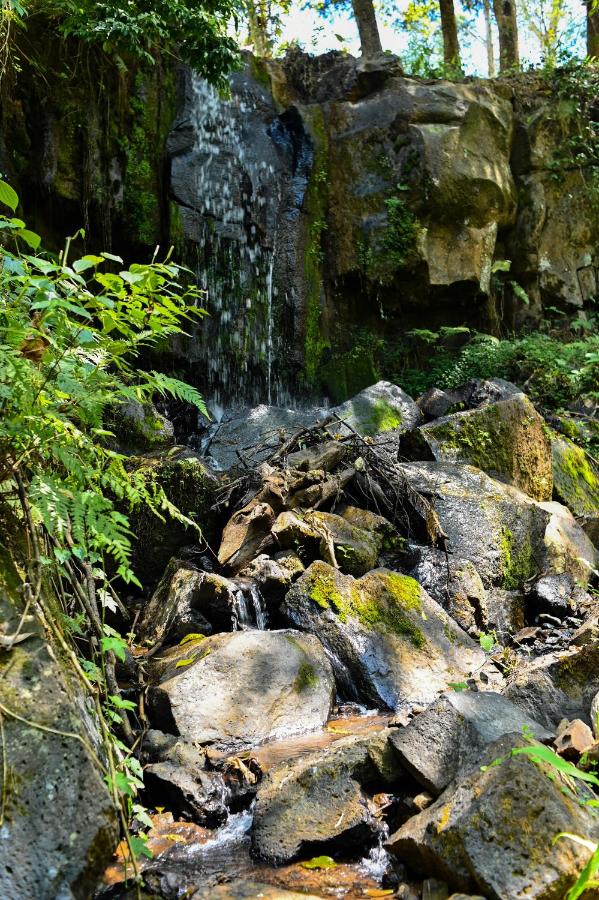 Forest Cottage | 2BR with Pool, Meru photo 14