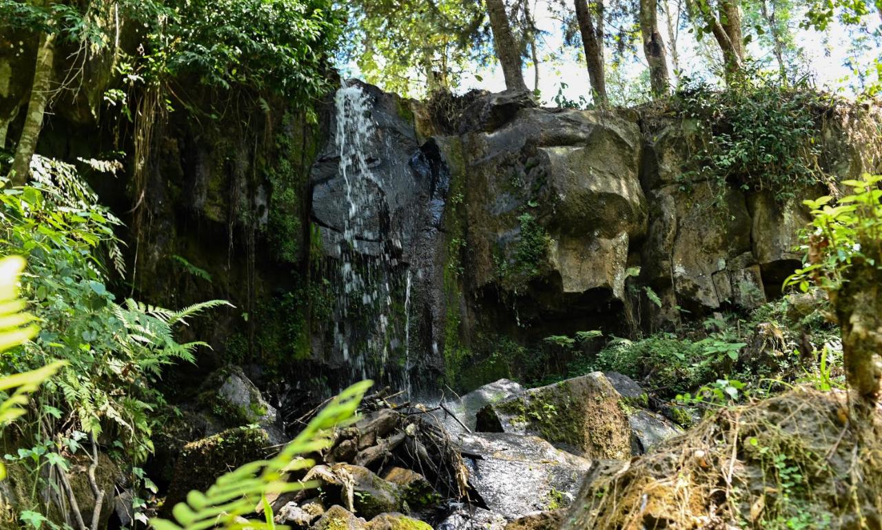 Forest Cottage | 2BR with Pool, Meru photo 8