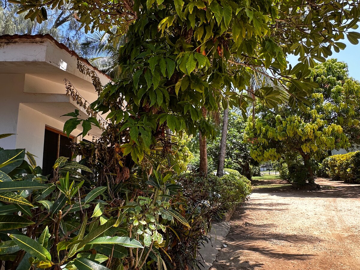 Cece Hse2. 350 mts to the beach. Diani Kenya — photo 4