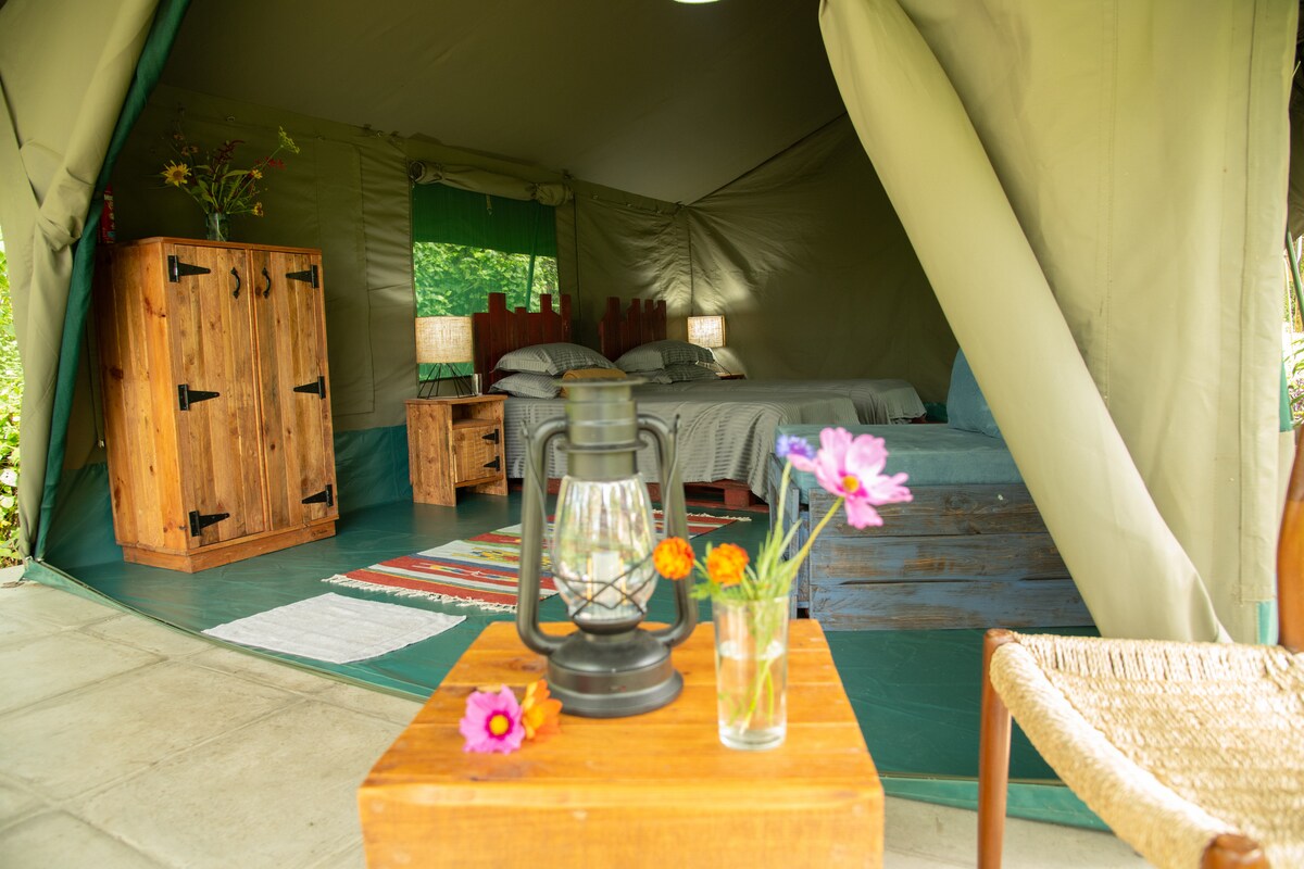 Luxe 4BR Glamping — photo 6