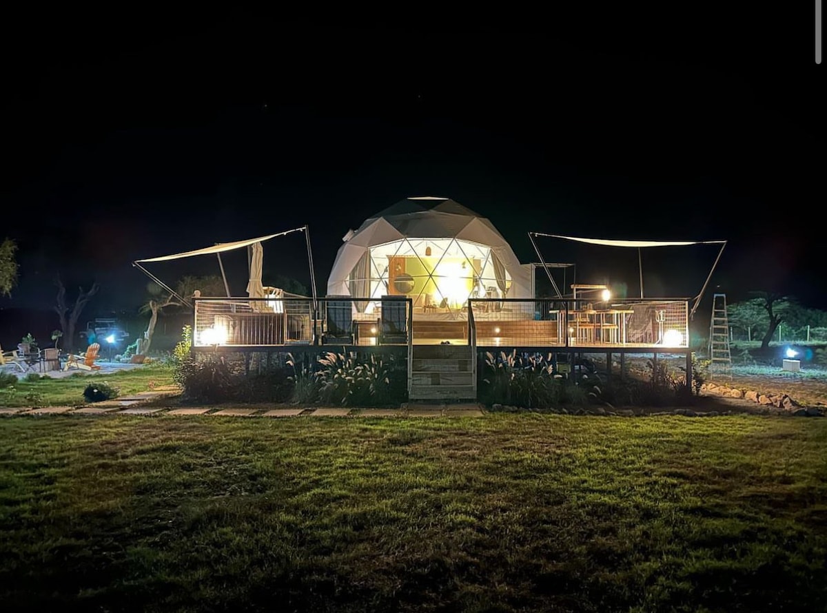 Kapiti Glamping Dome — photo 1