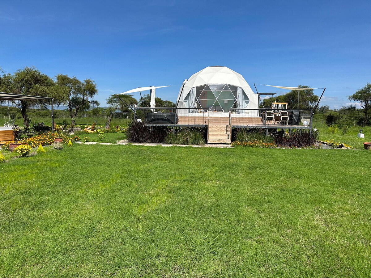 Kapiti Glamping Dome — photo 2
