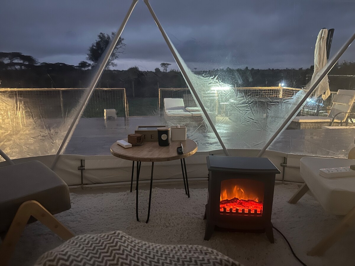 Kapiti Glamping Dome — photo 8