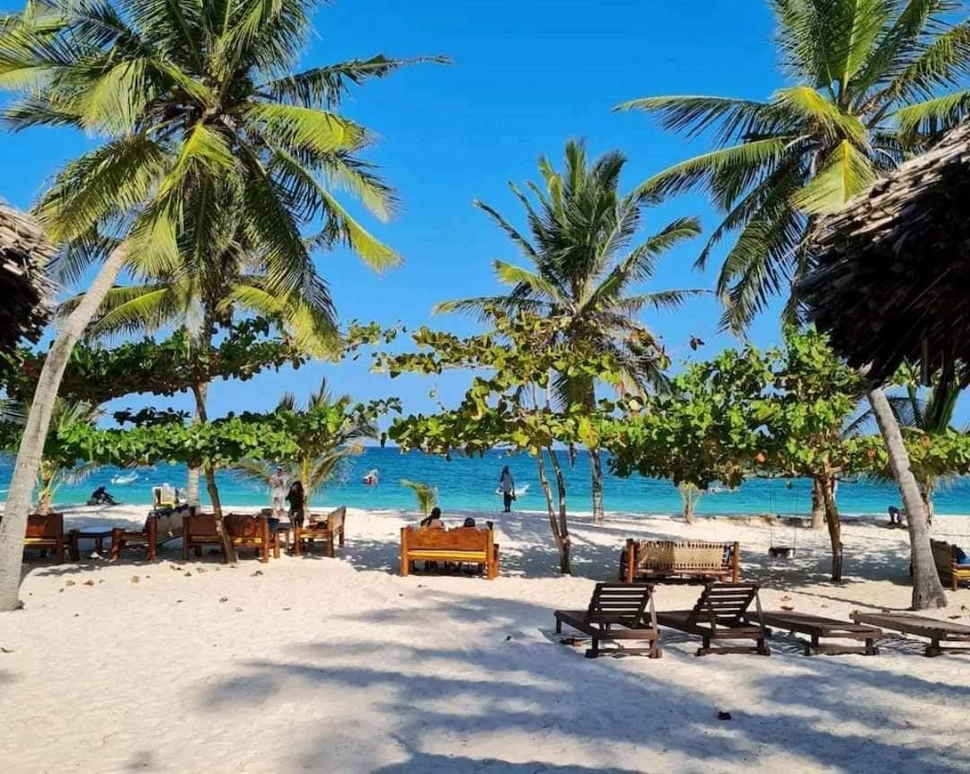 Diani Beachfront Studio photo 2
