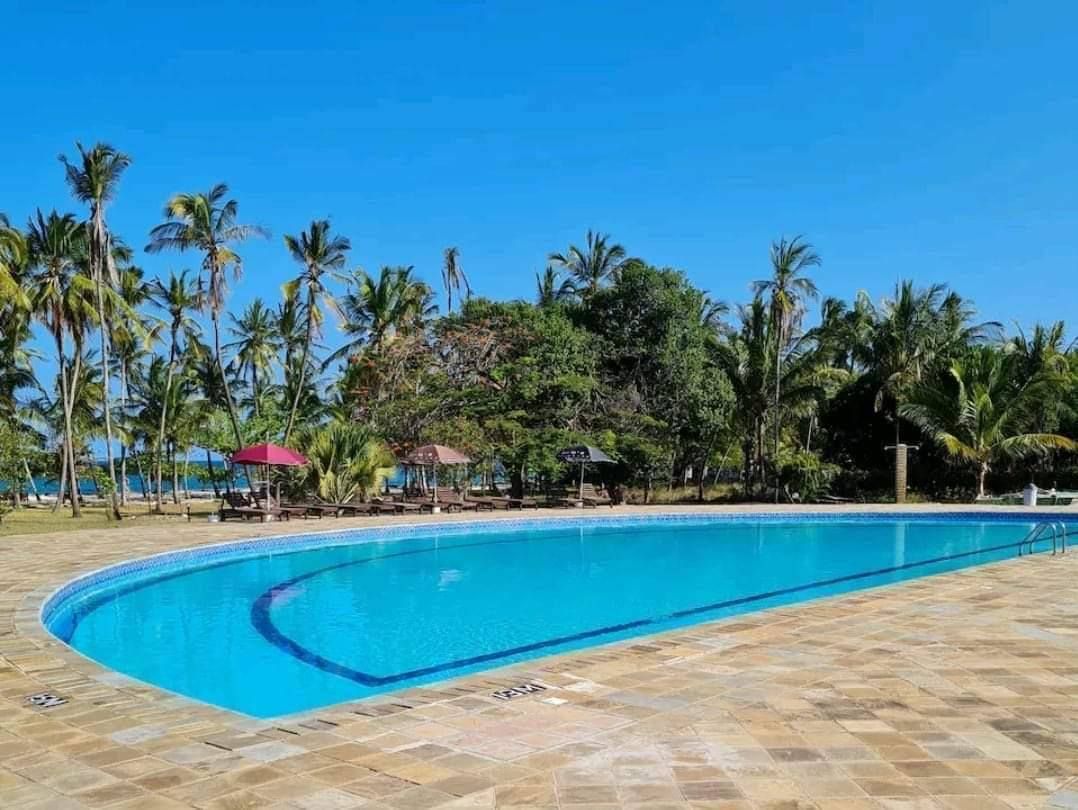 Diani Beachfront Studio photo 5