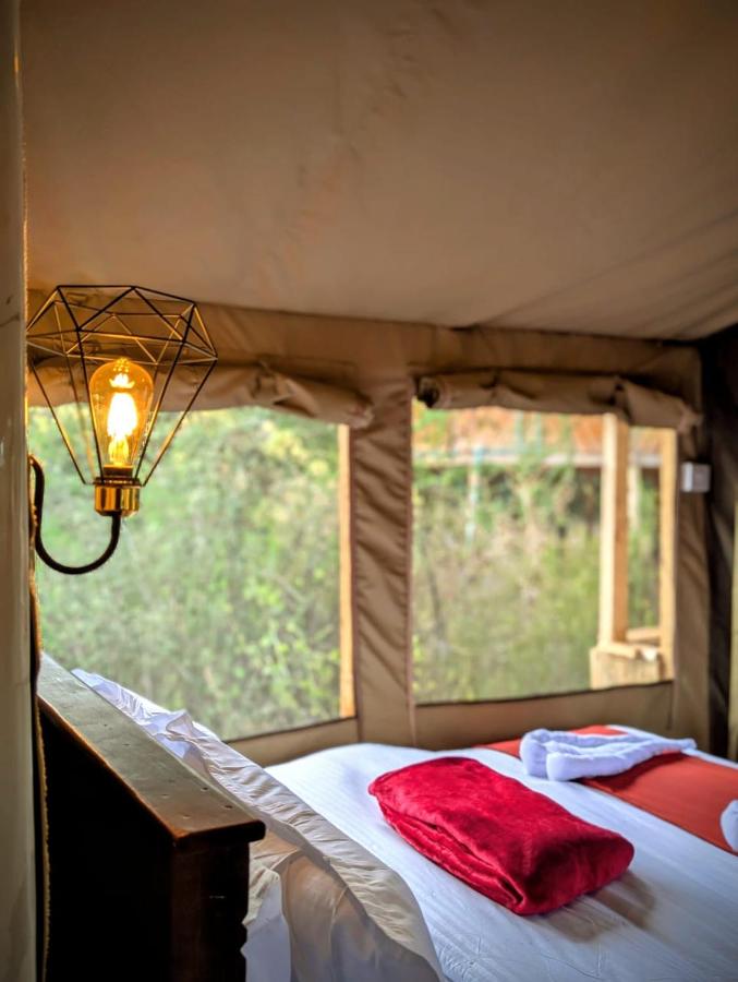 Olemayian Amboseli Cottages/ST (Bed & Breakfast) — photo 10