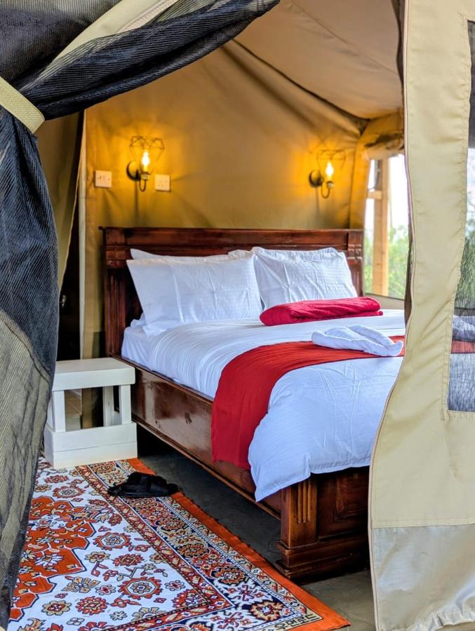 Olemayian Amboseli Cottages/ST (Bed & Breakfast) — photo 11