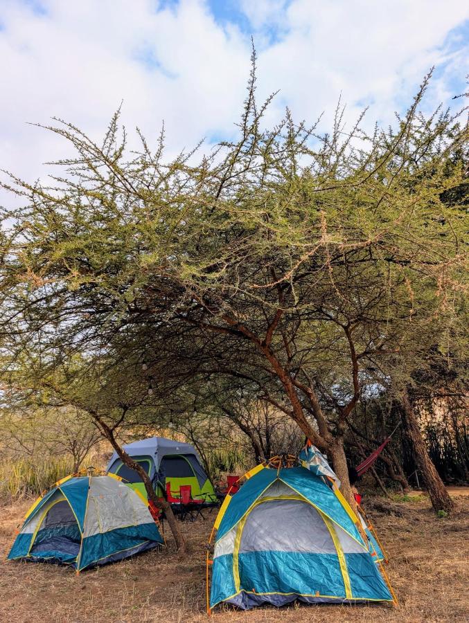 Olemayian Amboseli Cottages/ST (Bed & Breakfast) — photo 15