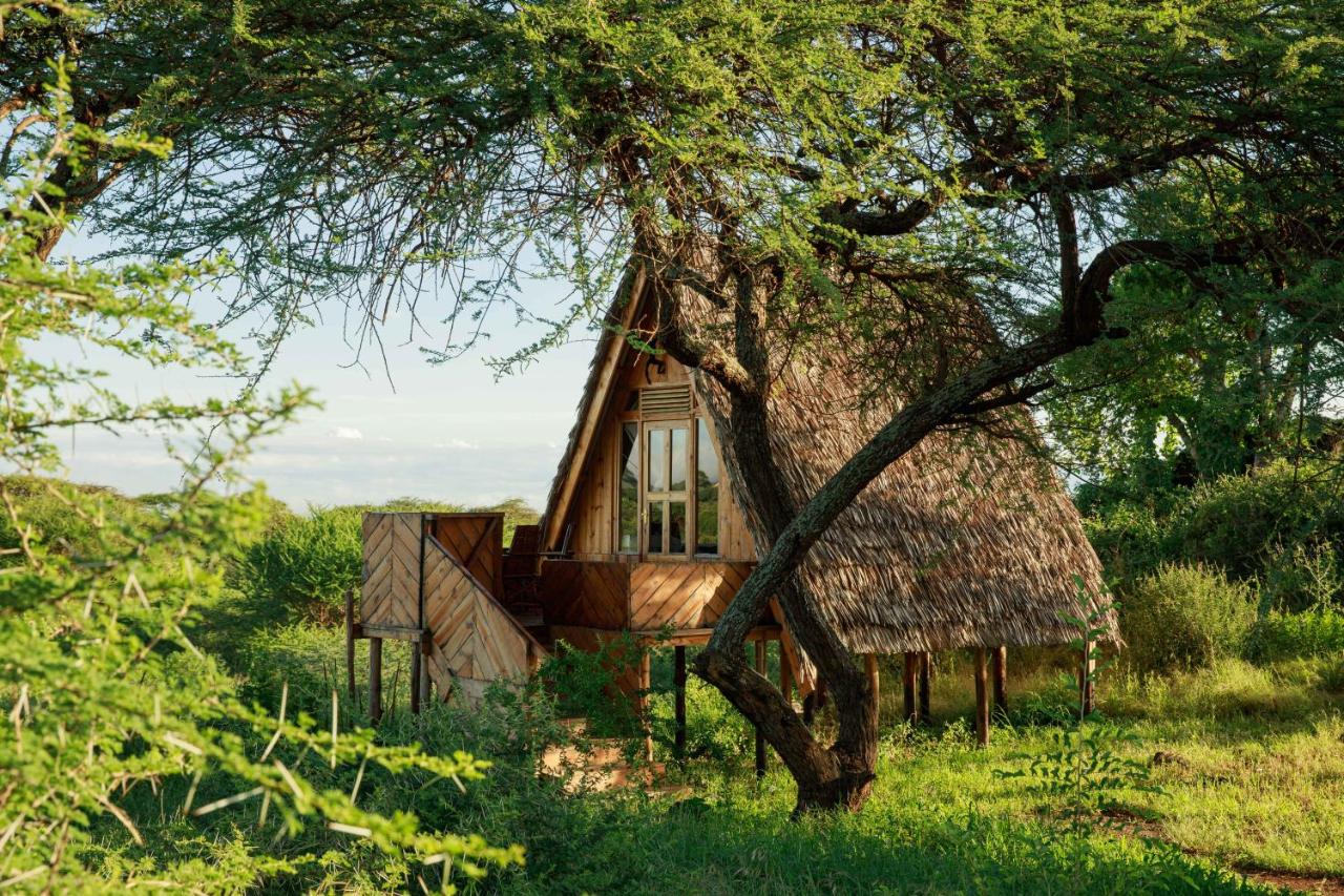 Olemayian Amboseli Cottages/ST (Bed & Breakfast) — photo 5