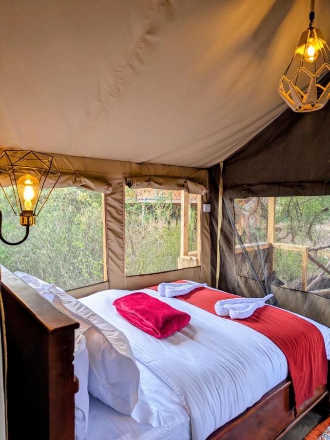 Olemayian Amboseli Cottages/ST (Bed & Breakfast) — photo 7