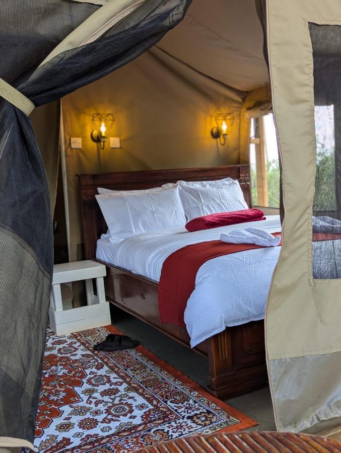Olemayian Amboseli Cottages/ST (Bed & Breakfast) — photo 8