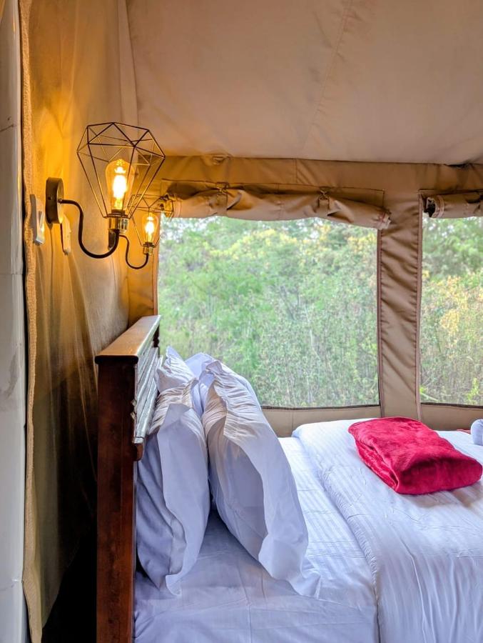 Olemayian Amboseli Cottages/ST (Bed & Breakfast) — photo 9