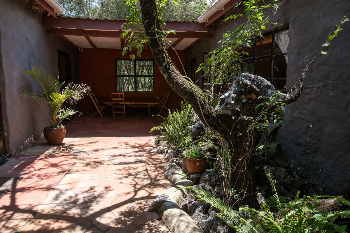 The Buffalo 3BR Cottage — photo 8