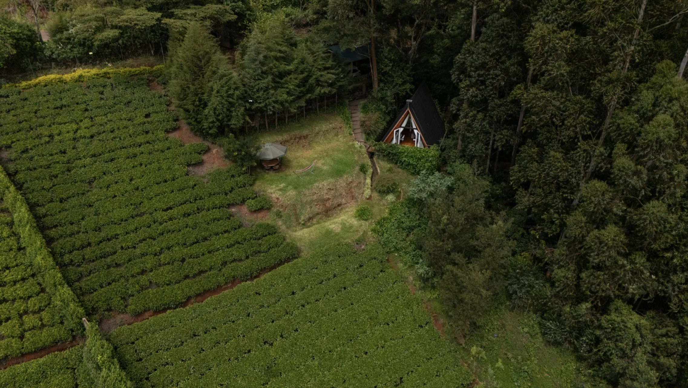 Valley Couples Cabin | Tigoni photo 1
