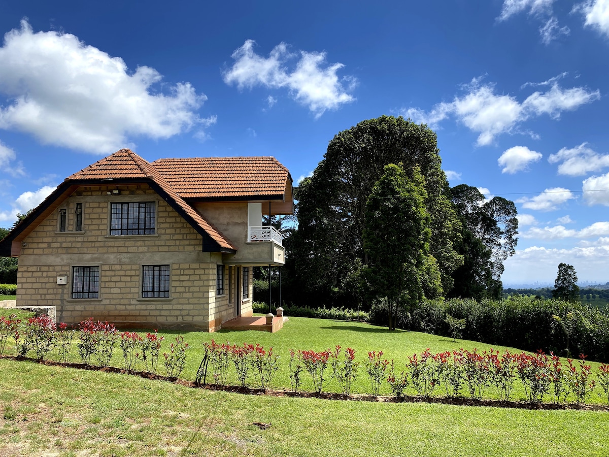 Tigoni Villa Africana – 3BR — photo 4