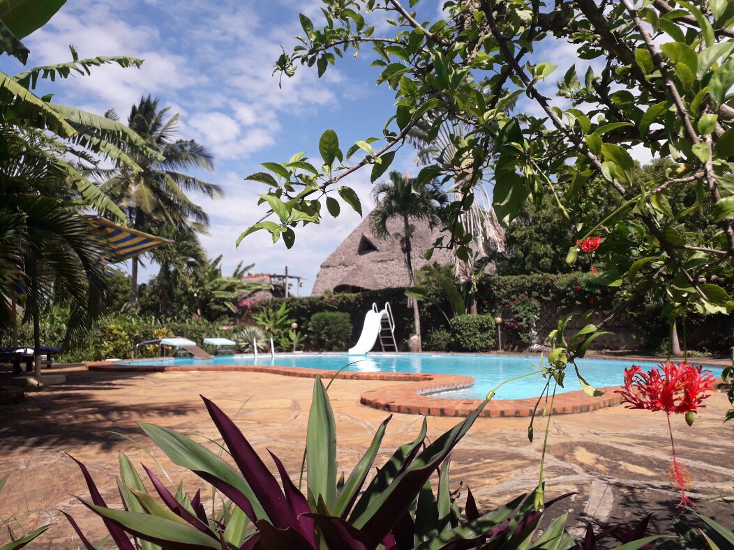 Villa Parrot — photo 9