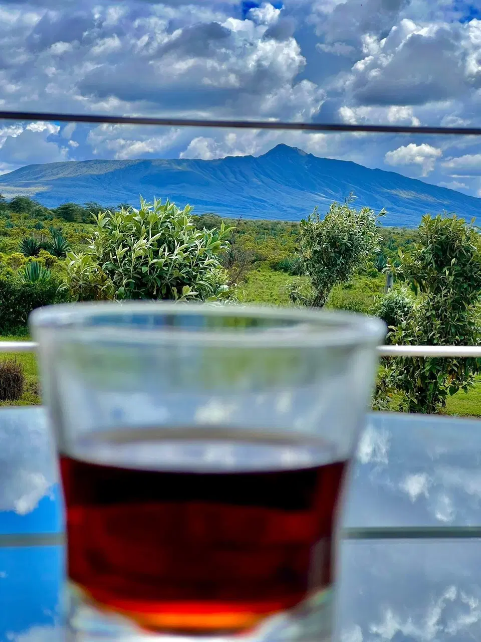 Savannah Villa | 5BR Group Stay, Naivasha photo 10