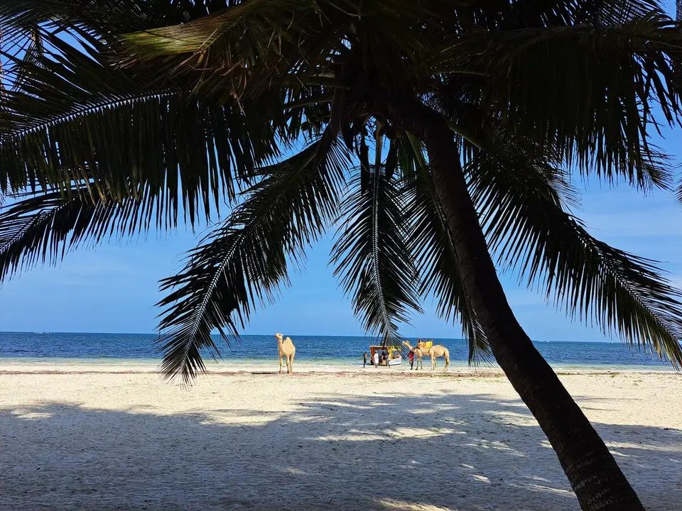 Beachfront Studio in Bamburi Beach — photo 3