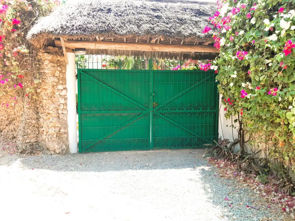 Banana House — photo 15
