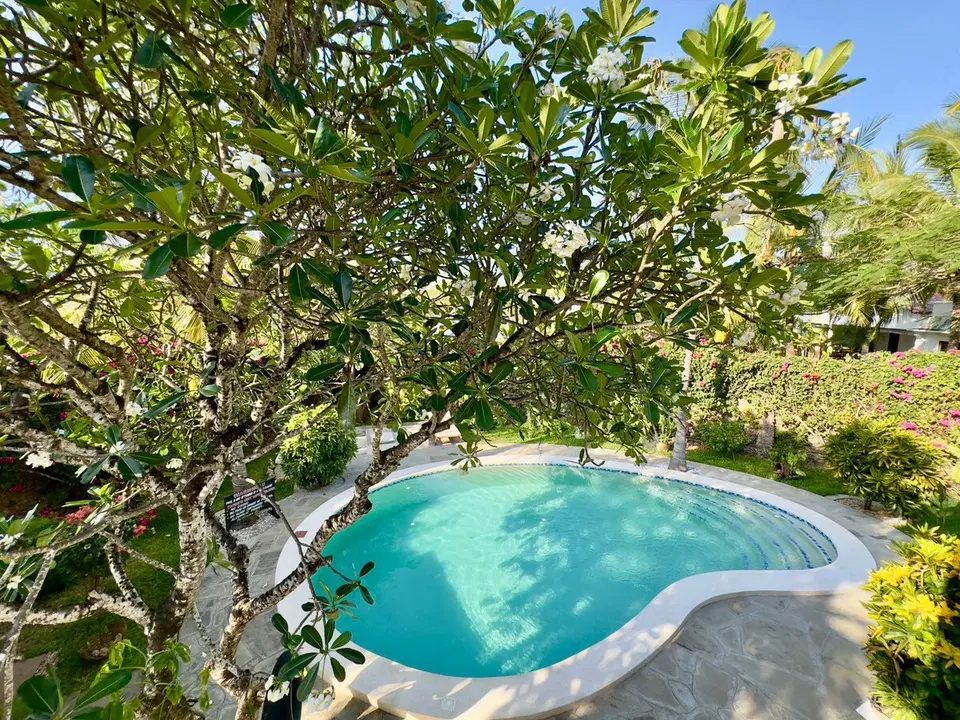 Banana House — photo 5