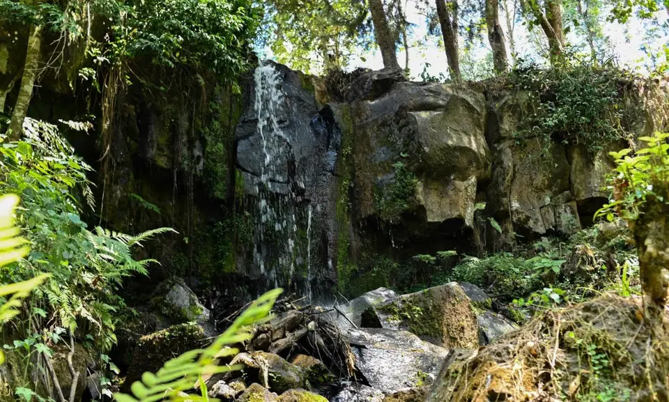 Forest Cottage | 2BR with Pool, Meru photo 8