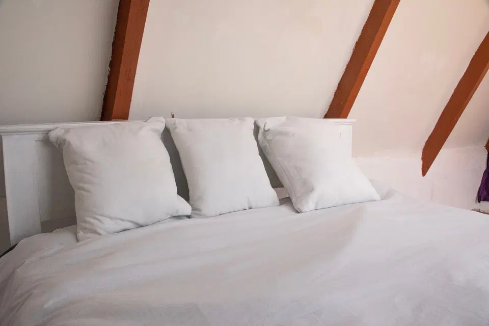 Camp David Amboseli – 1BR, a Pool — photo 4