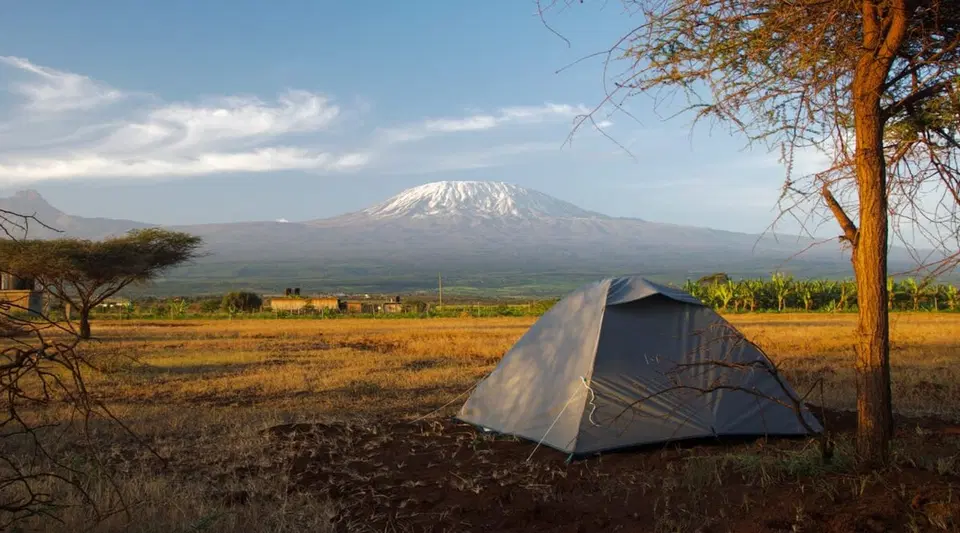 Camp David Amboseli – 1BR, a Pool — photo 9