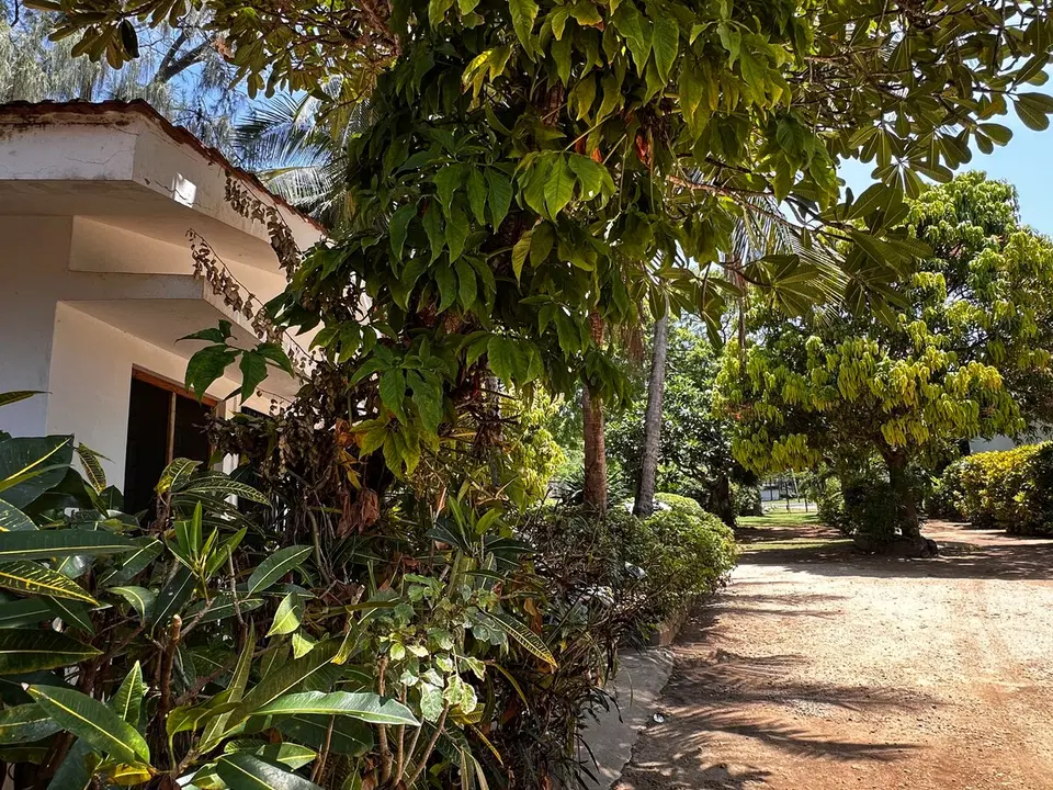 Cece Hse2. 350 mts to the beach. Diani Kenya — photo 4