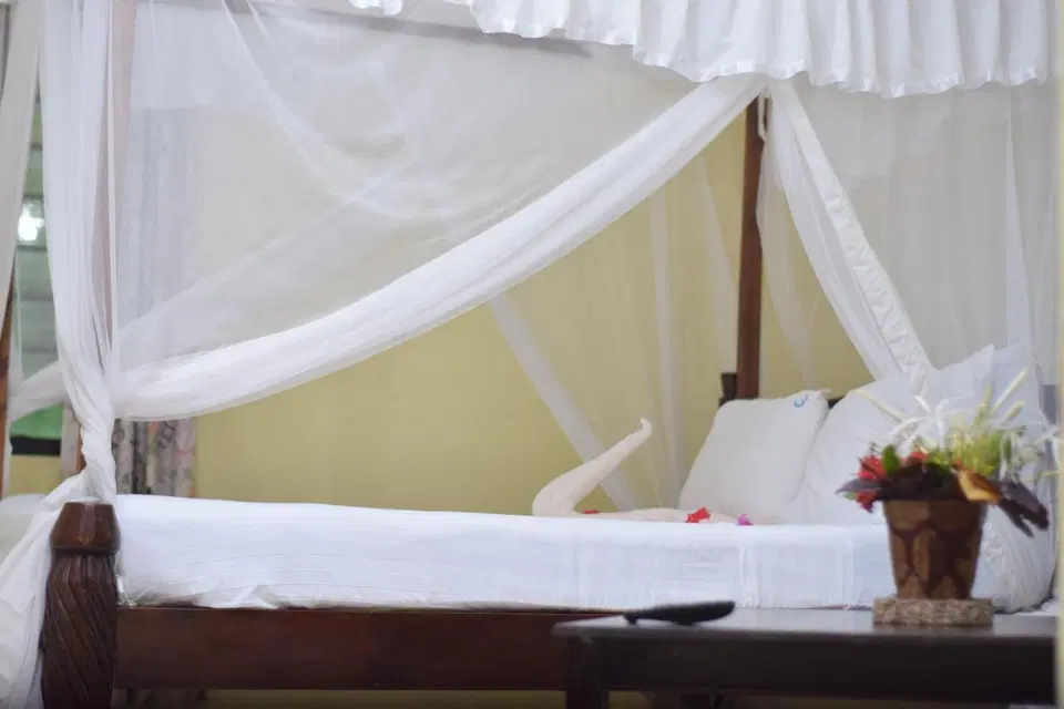 Coral Beach Resort — photo 9