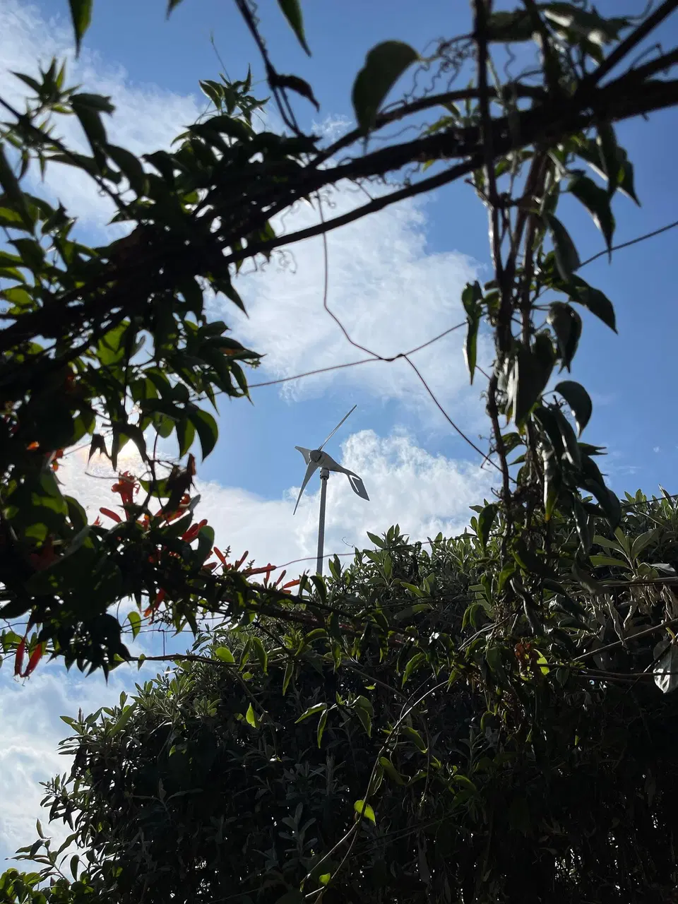 2BR Cabin with a Pool near Mt Longonot (Version C) — photo 13