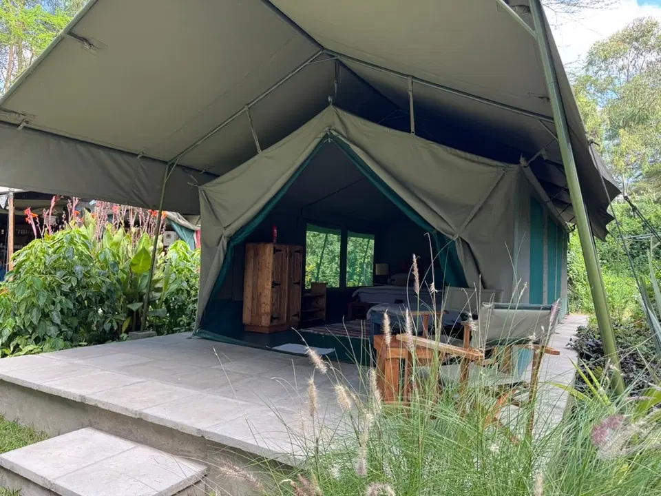 Luxe 4BR Glamping — photo 3