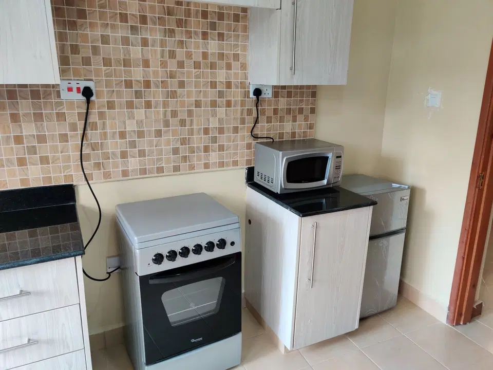 2BR Apartment Close to the Lake — photo 12
