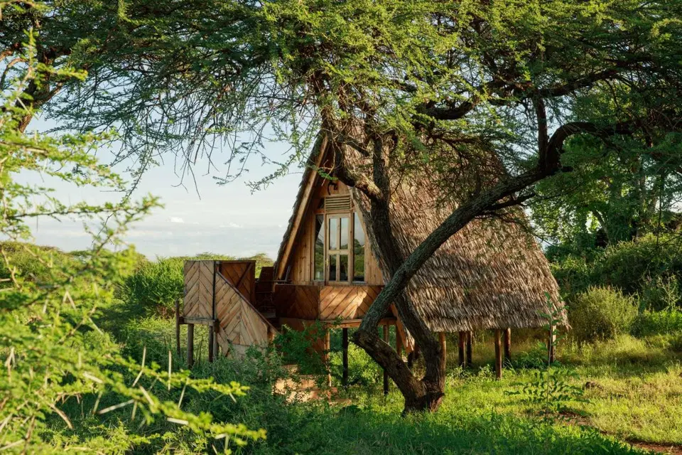 Olemayian Amboseli Cottages/ST (Bed & Breakfast) — photo 5