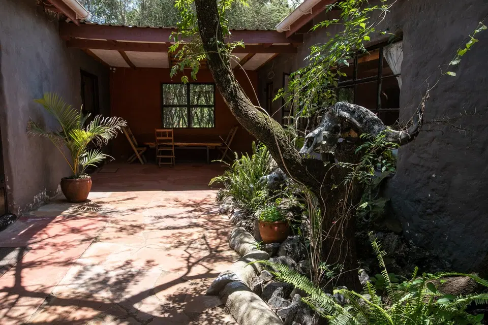 The Buffalo 3BR Cottage — photo 8