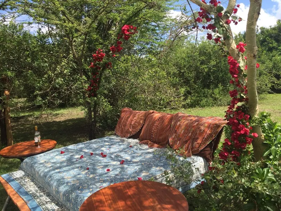 Punda Milias Lodge Luxury Bush Villa — photo 5