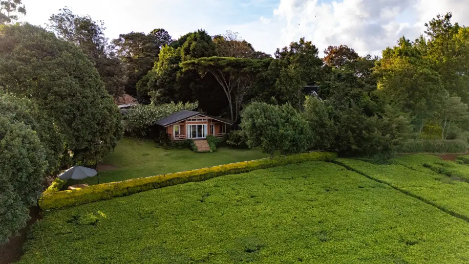 Tea Country Cottage | 2BR, Tigoni photo 1