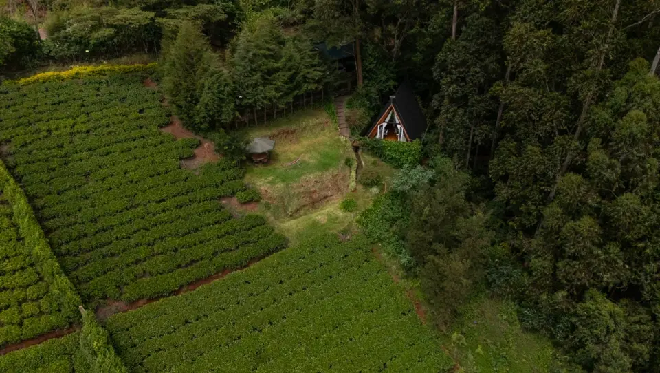 Valley Couples Cabin | Tigoni photo 1
