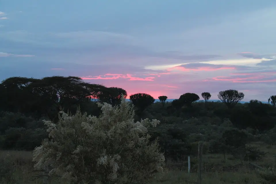 The Shwari 3BR in Naivasha — photo 11