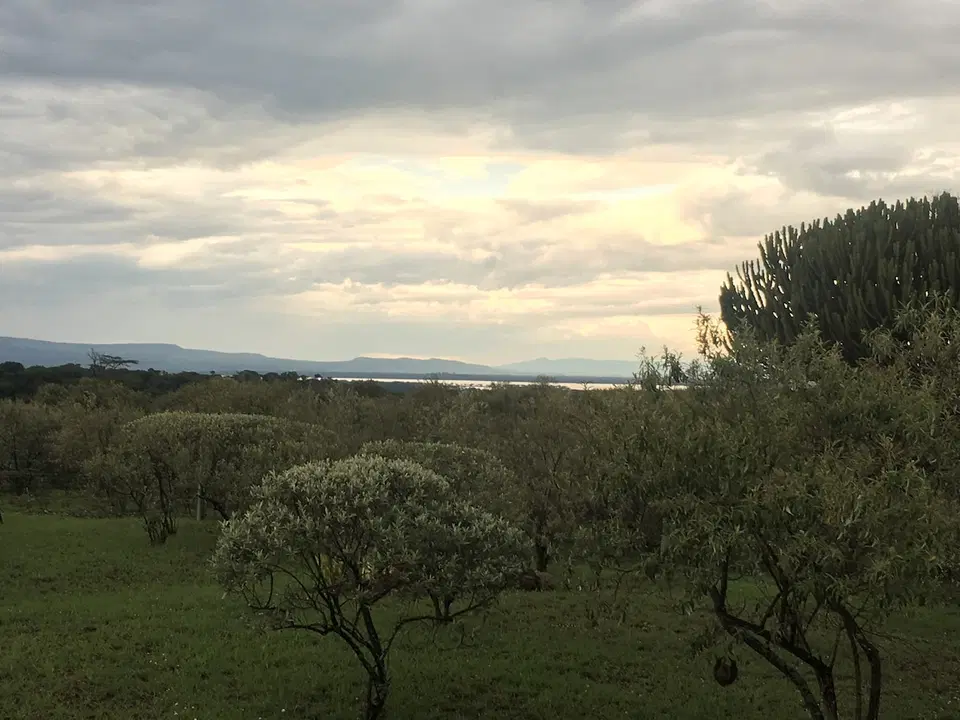 The Shwari 3BR in Naivasha — photo 5