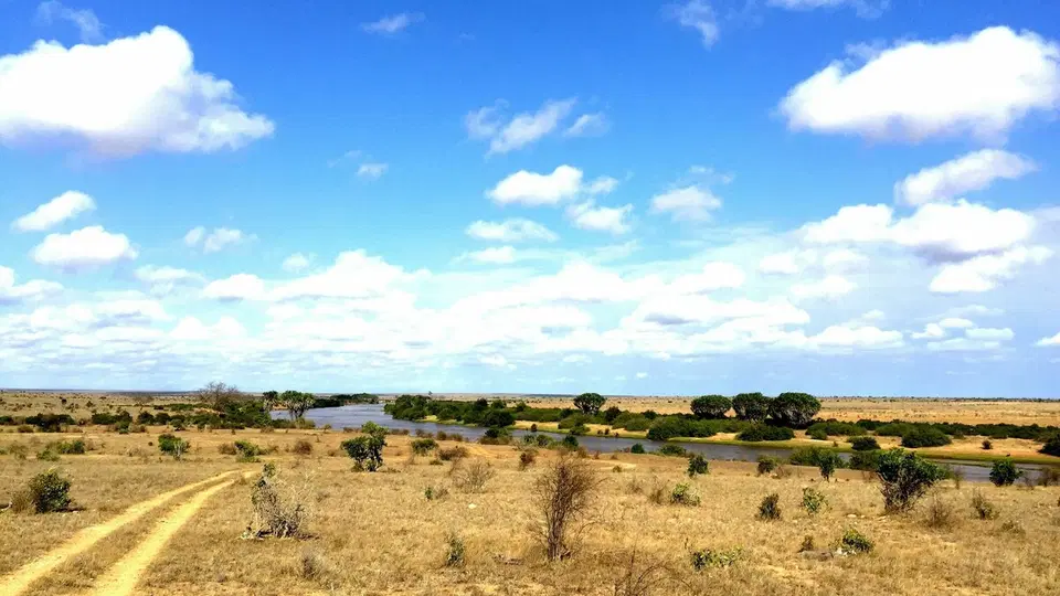 Swordfish 2BR Villa — photo 10