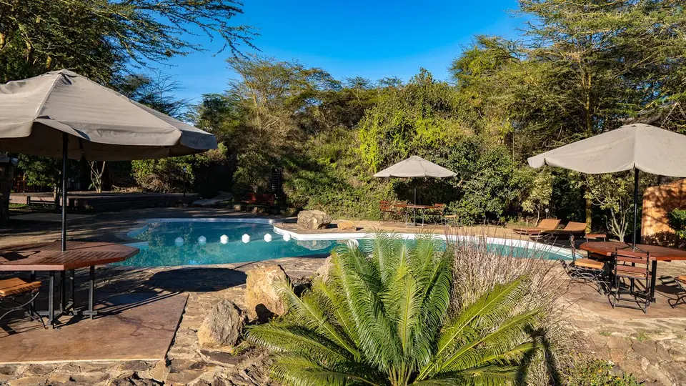 The Senna 2BR Villa — photo 4
