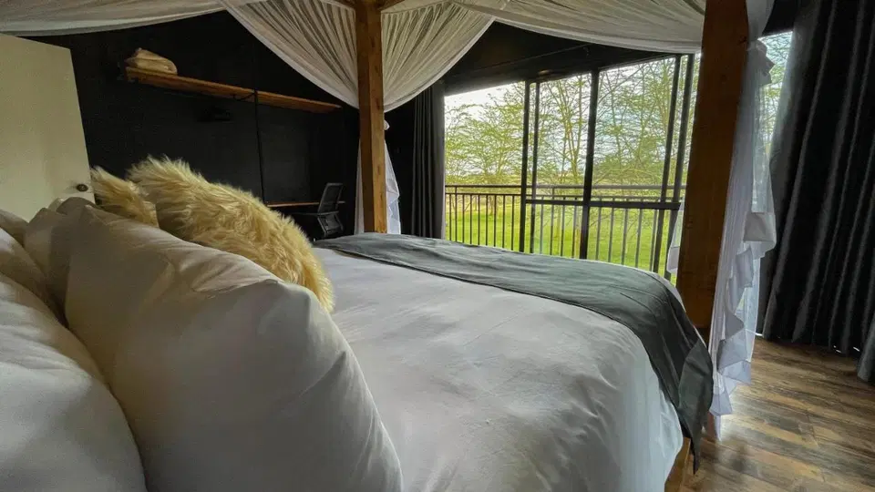 The Shed 2BR — photo 15