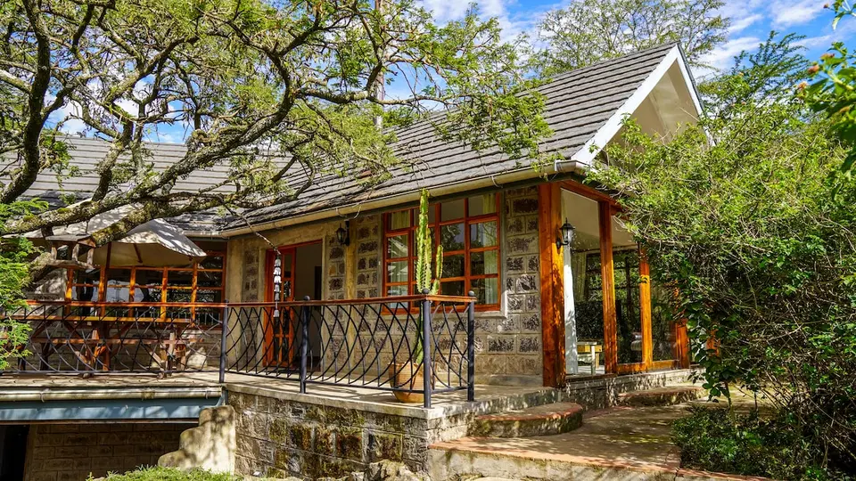 The Tree House 3BR — photo 3