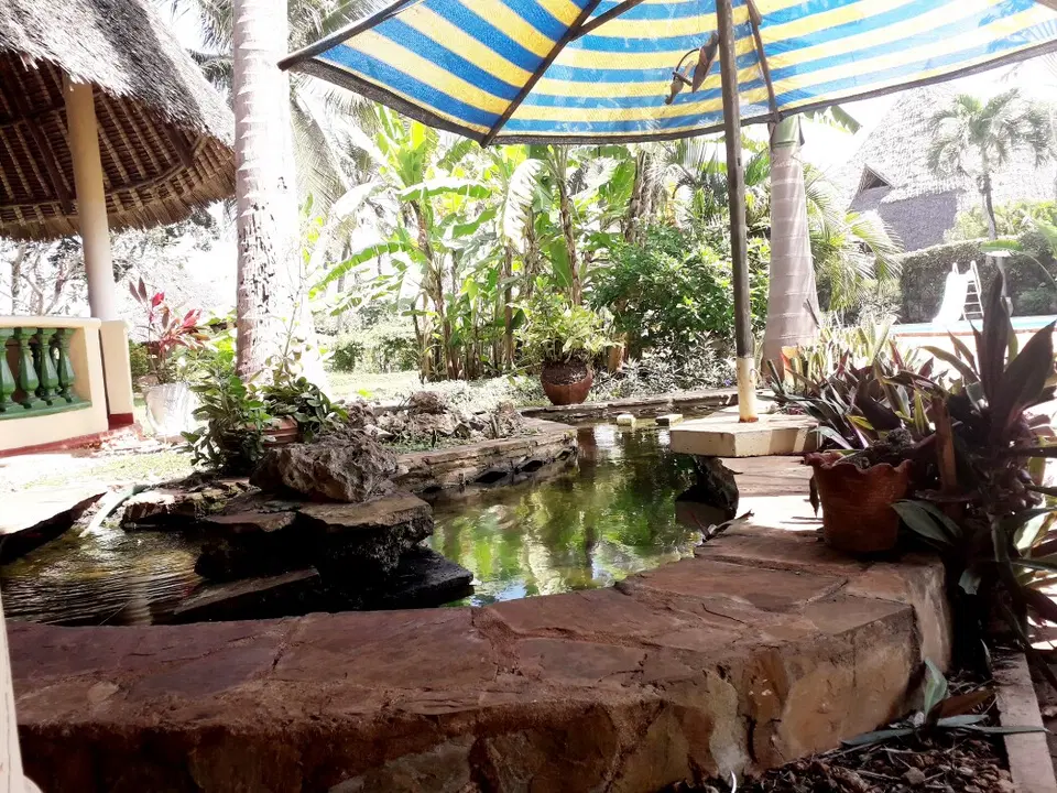Villa Parrot — photo 10
