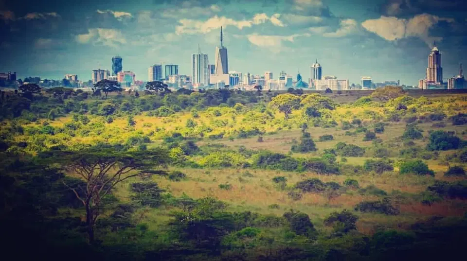 Vintage Villa by the Nairobi National Park – 4BR — photo 3